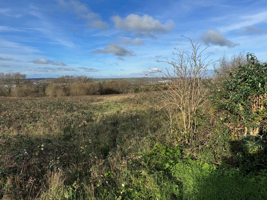 Lot: 87 - CLOSE TO 2.5 ACRES OF LAND WITH POTENTIAL - View of land from access road